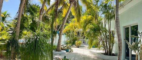 A tropical garden with palm trees and potted plants, a concrete pathway, and a building with large windows.