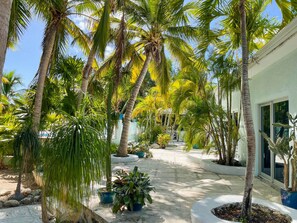 Property grounds - Villa Tropica  - Near Grace Bay Beach - Newly Remodelled (Providenciales)