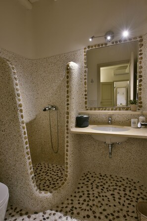Shower, hair dryer, towels, toilet paper