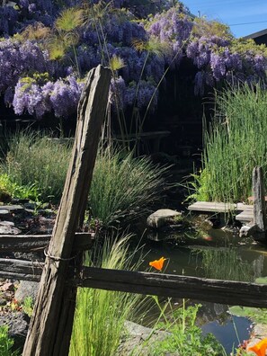 Property grounds - Beautiful and Lush Hidden Wisteria Getaway (Alameda)