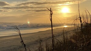 A beach scene with the sun setting over the ocean, featuring silhouettes of tall grasses in the foreground. - Condo with AMAZING Ocean View! Labor Day Weekend is available and discounted ! (Ocean Isle Beach)