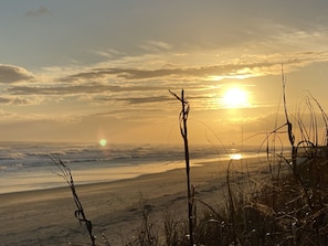 Plage à proximité