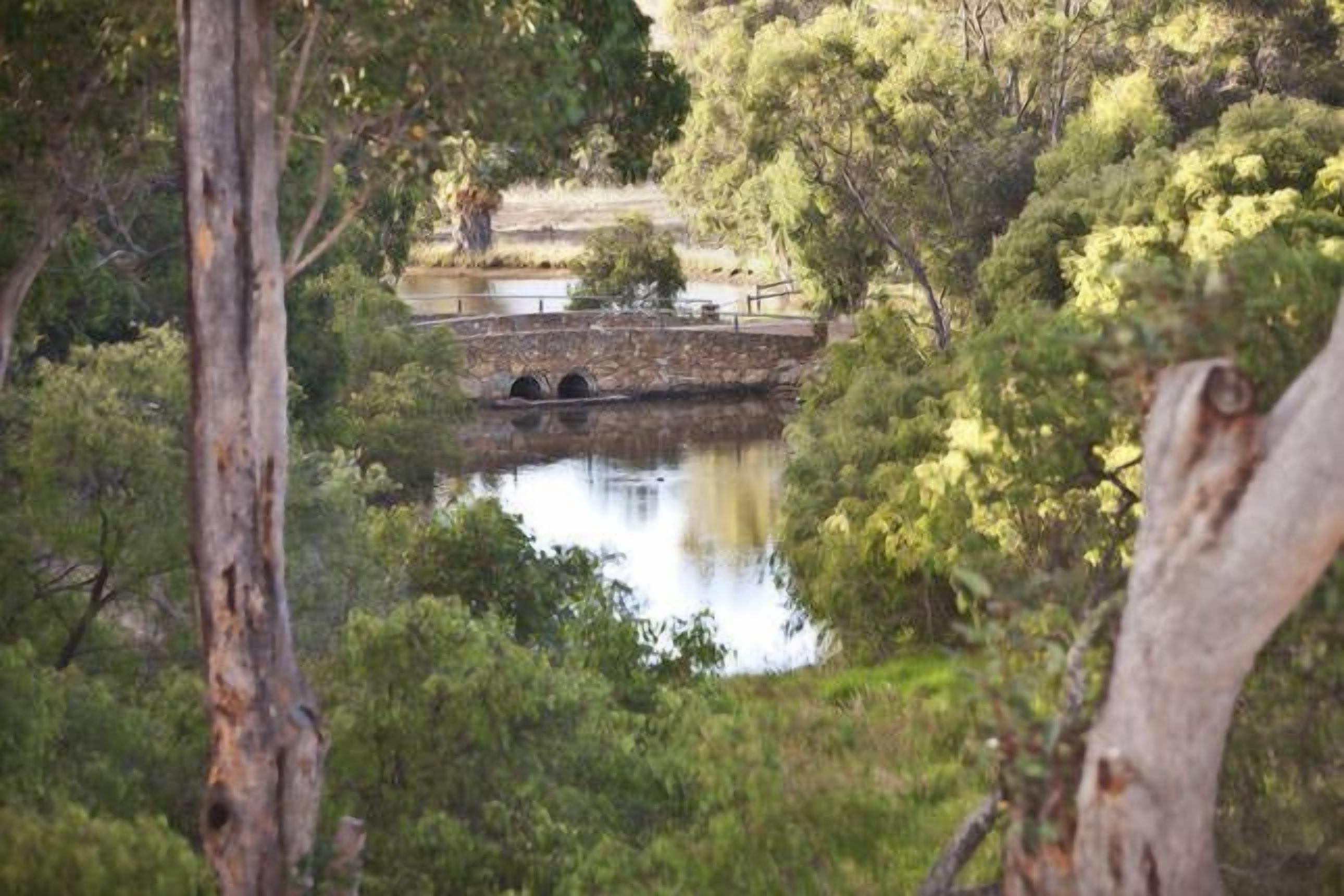 Wildwood Brook Cottage - Stunning views with large entertaining deck — image 14