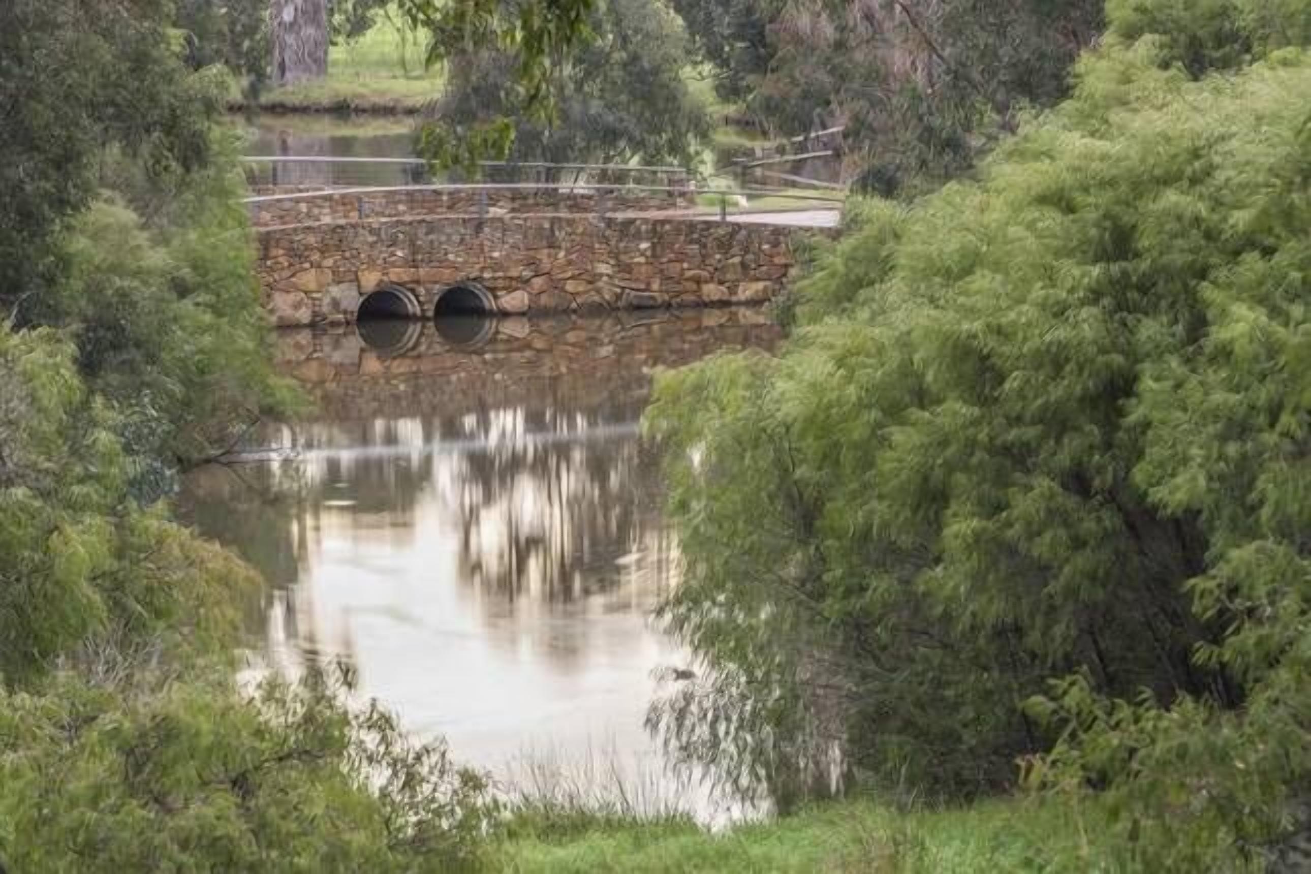 Wildwood Brook Cottage - Stunning views with large entertaining deck — image 2