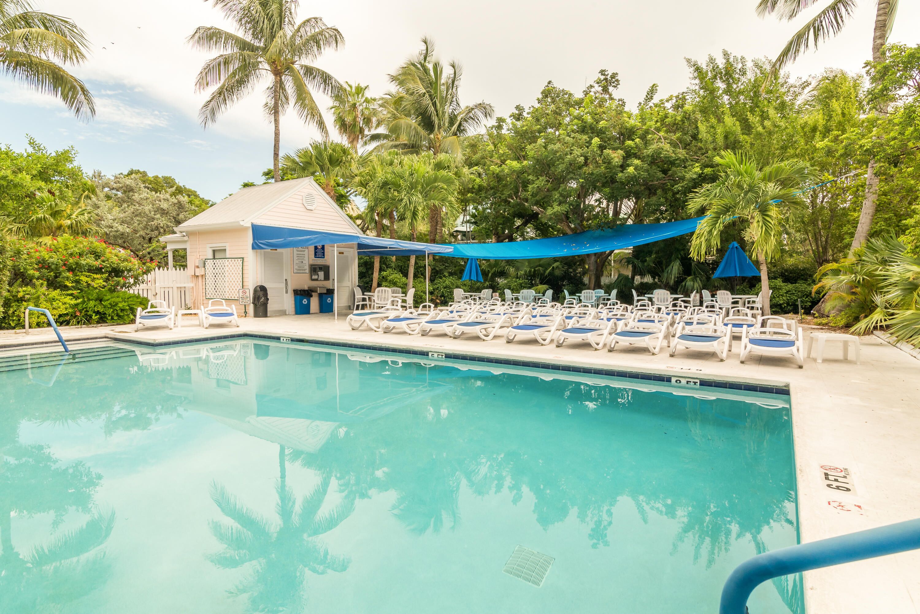 A pool area with lounge chairs and umbrellas, surrounded by palm trees and a small building.