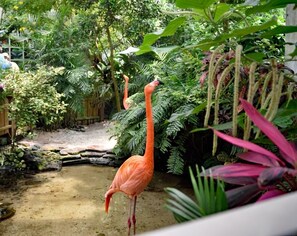 Property grounds - MAJESTIC PARADISE @ Truman Annex - Heart of Old Town, Key West (Key West)