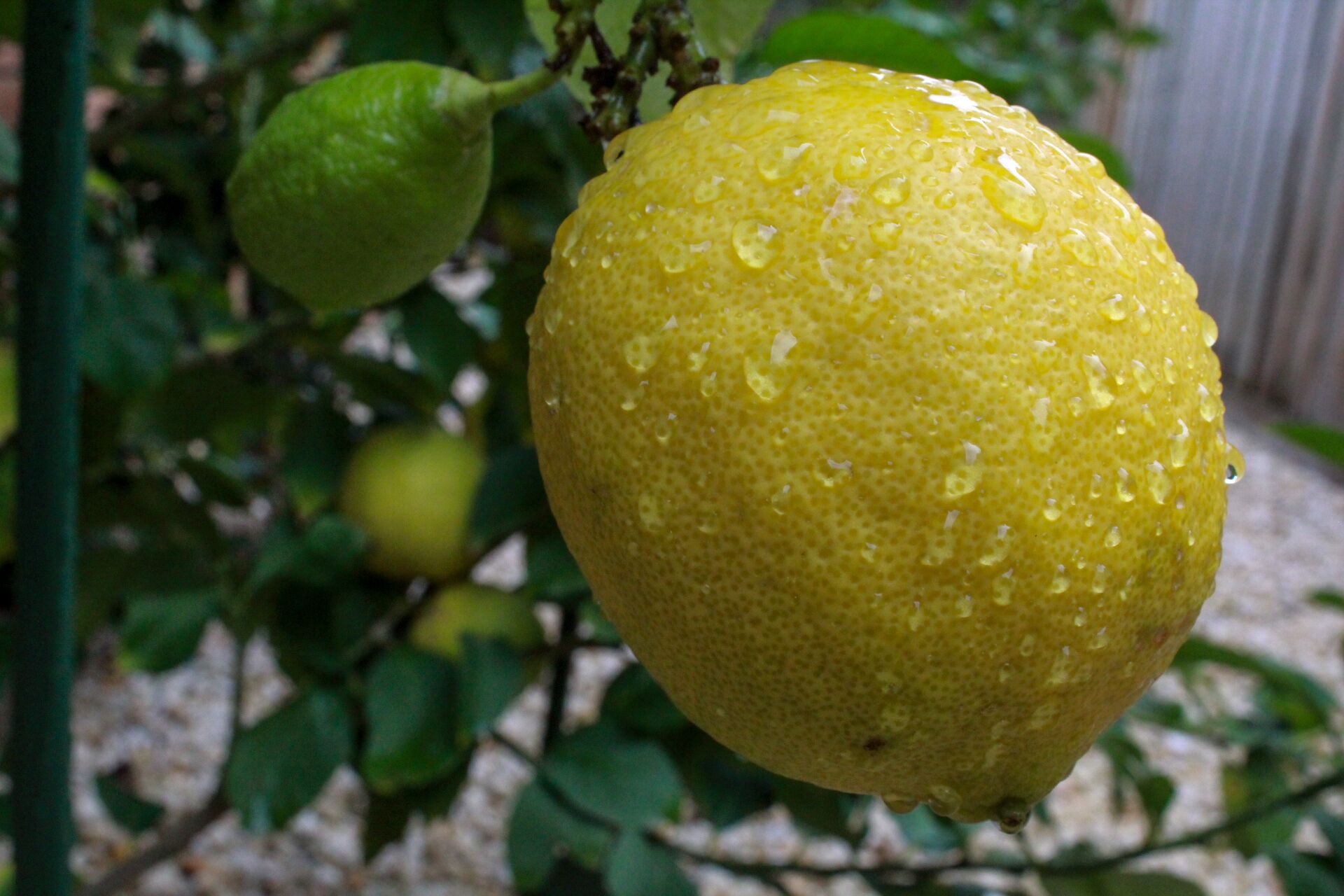 Narre Haven - Cosy and comfortable — image 16