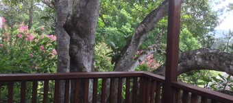 Fully detached, centrally located, quite, private, open plan cabin