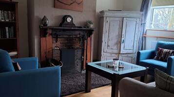 Smart TV, caminetto, lettore DVD, libri