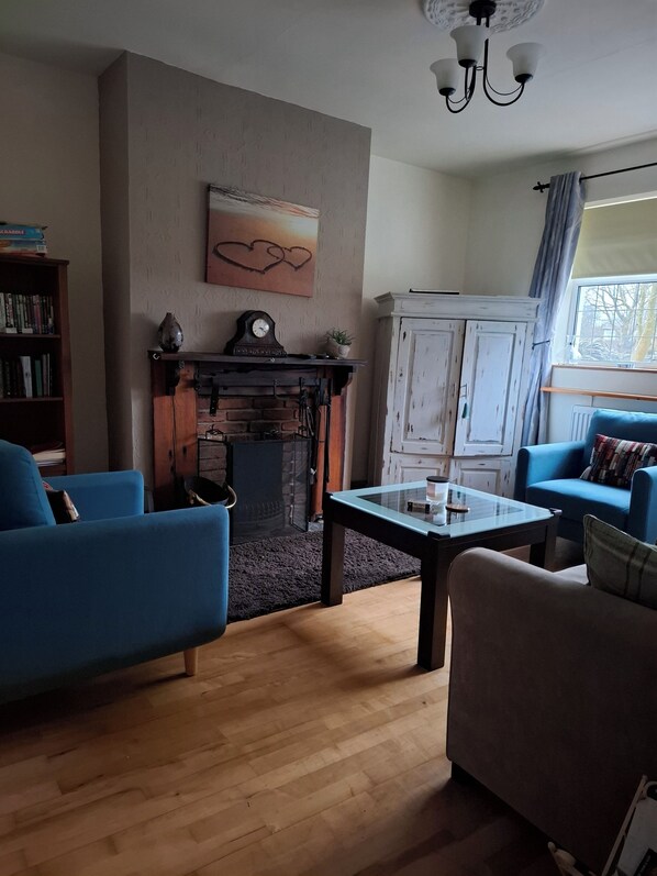 Smart TV, chimenea, reproductor de DVD y libros 