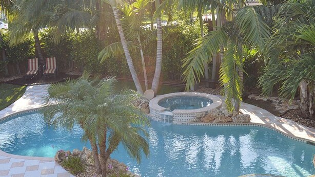 A swimming pool with a tiled deck, surrounded by palm trees and a small hot tub. - Private 4BR Heated Pool & Spa Home • Pet Friendly • Near Beaches (Margate)