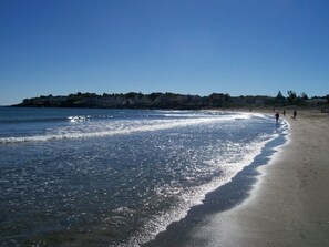 Playa en los alrededores y camastros 