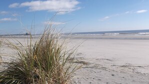 Une plage avec du sable, de l’herbe et une jetée en arrière-plan.