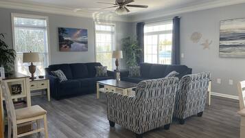 智能电视、DVD 播放器