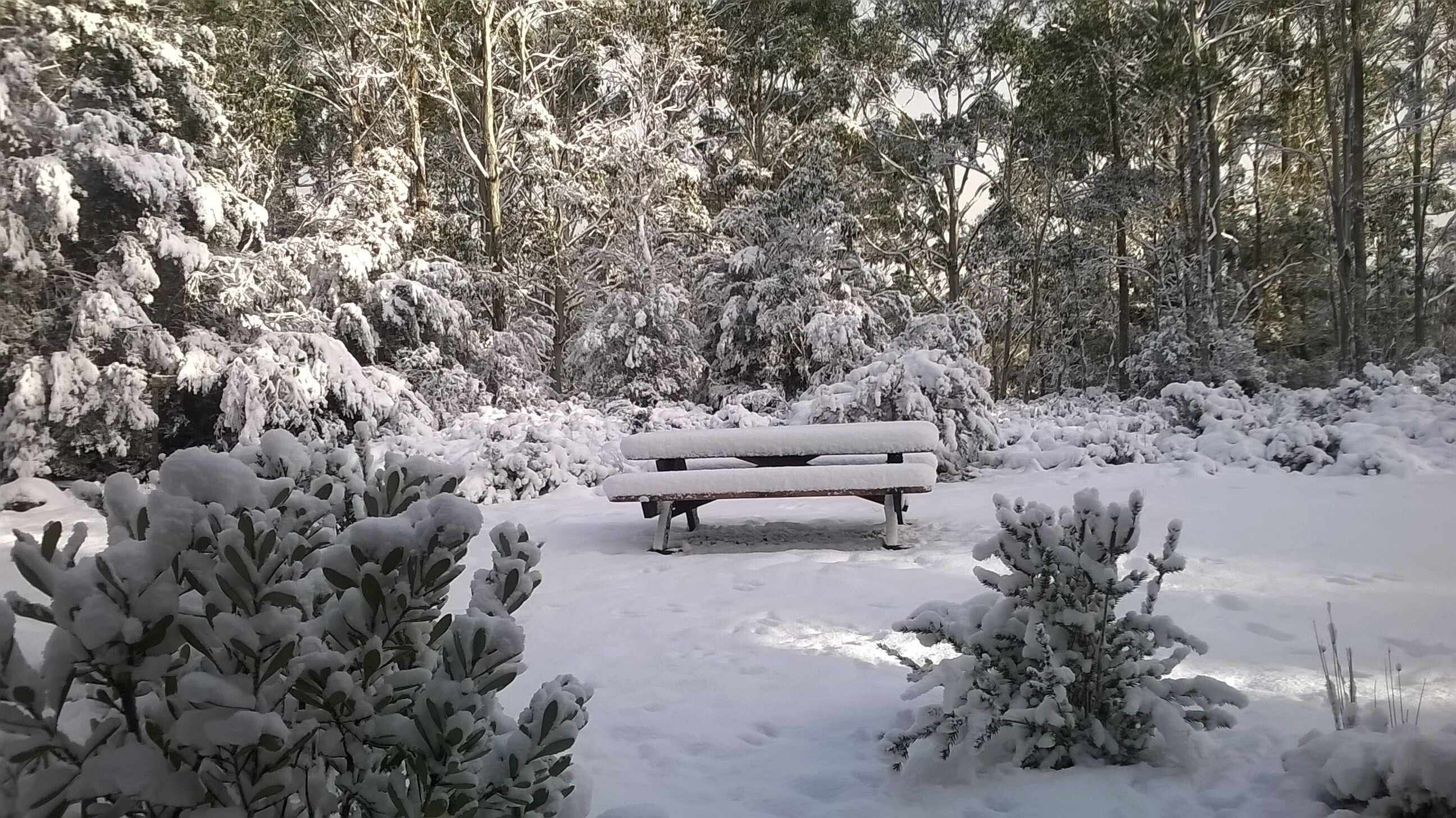 Cradle Cave Cradle Mountain — image 12