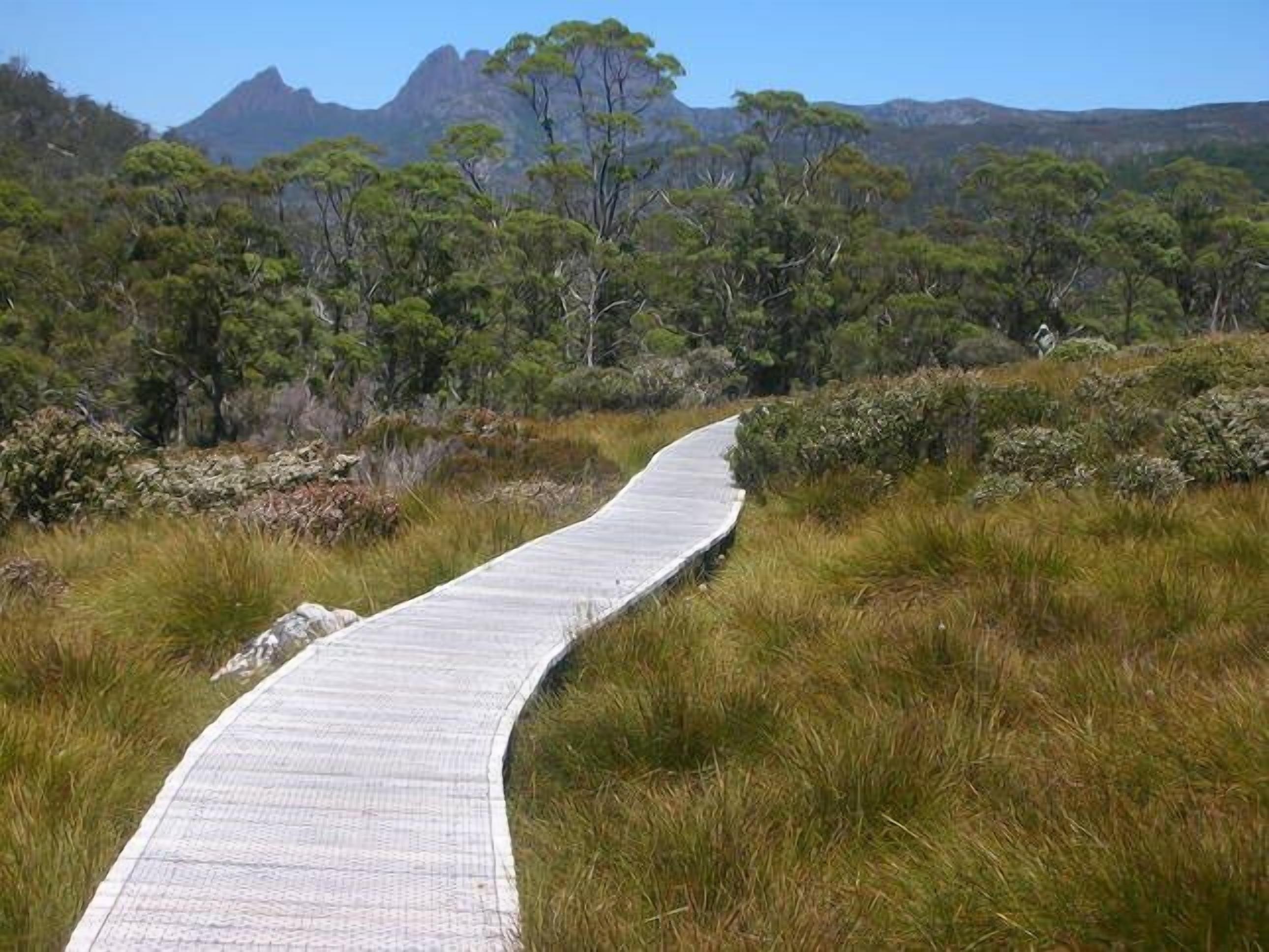 Cradle Cave Cradle Mountain — image 16