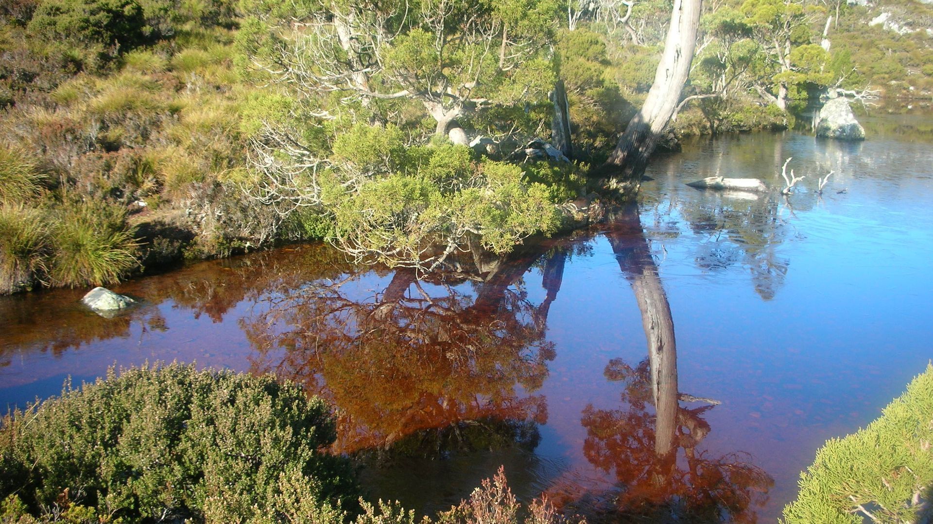 Cradle Cave Cradle Mountain — image 18