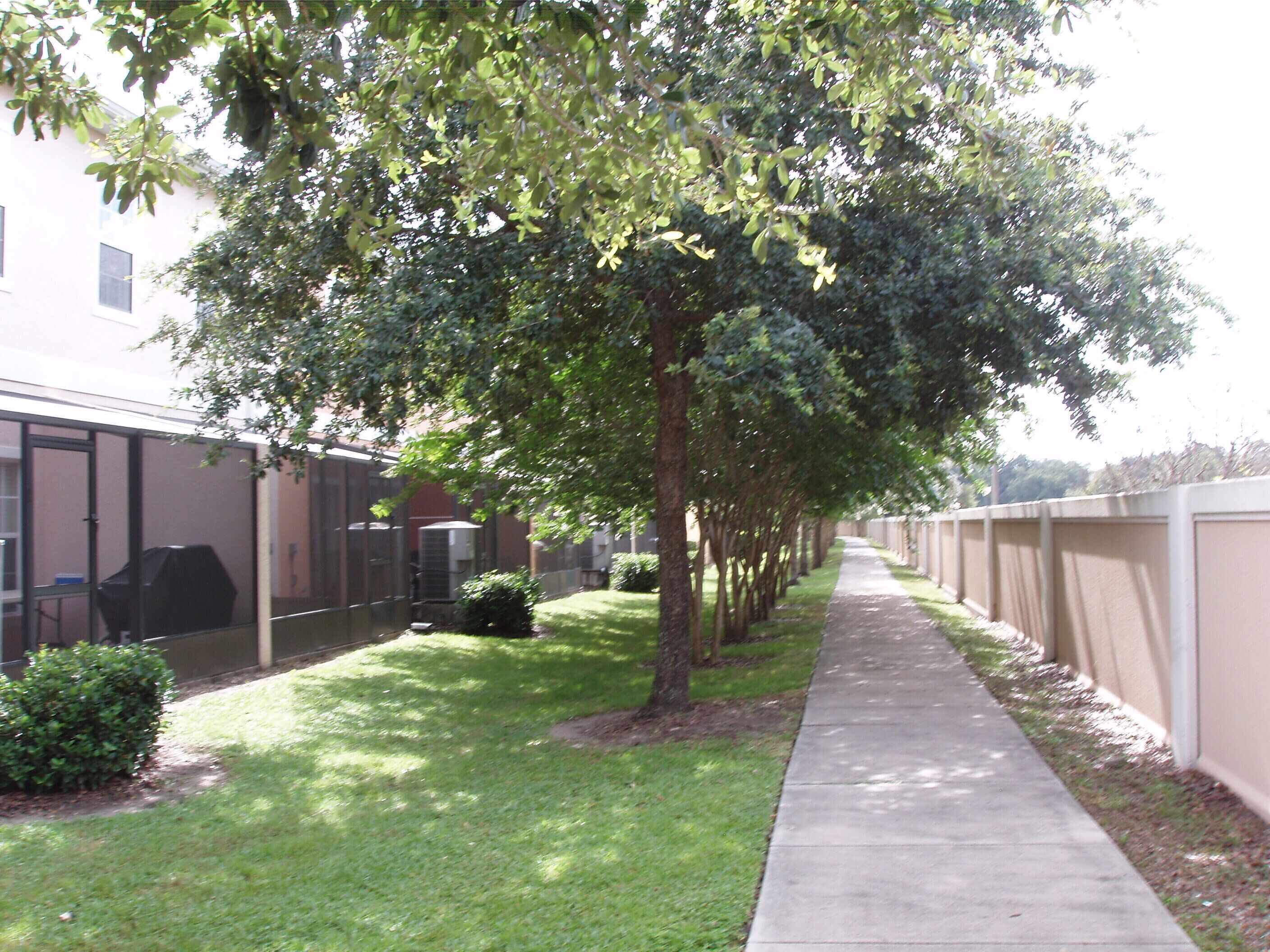 A pathway lined with trees and a building with a fenced area.