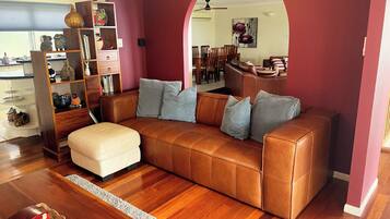 TV connectée, cheminée, Netflix, livres