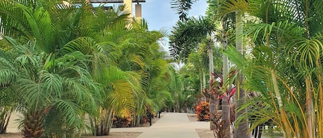 A pathway flanked by lush tropical plants leading to a building with a sloped roof.