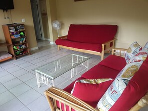 TV, DVD player, video library
