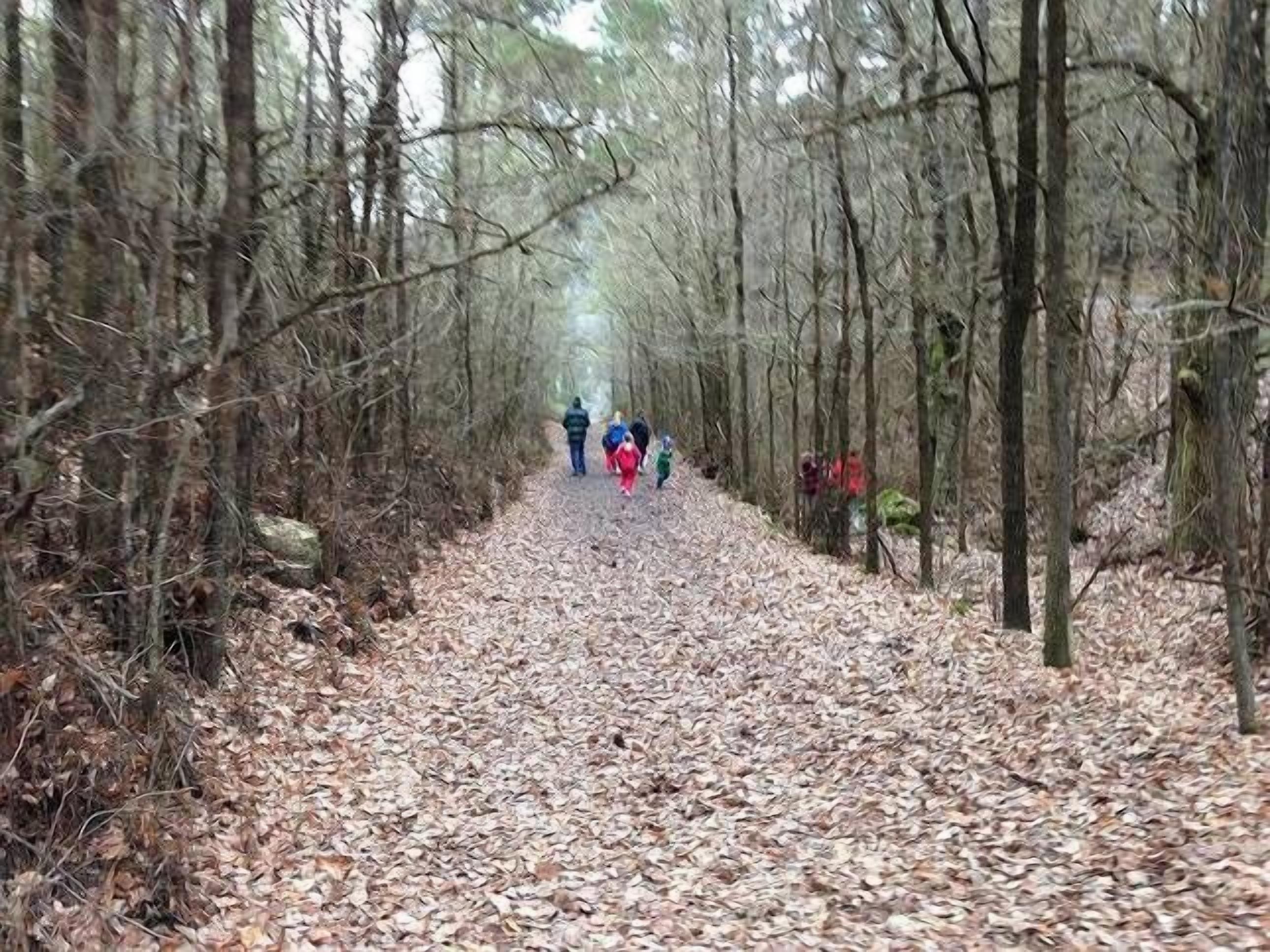 Kosciuszko Lodge Talbingo - RELAX — image 18