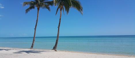 Una playa cerca