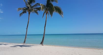 Loft encantador playas cercanas