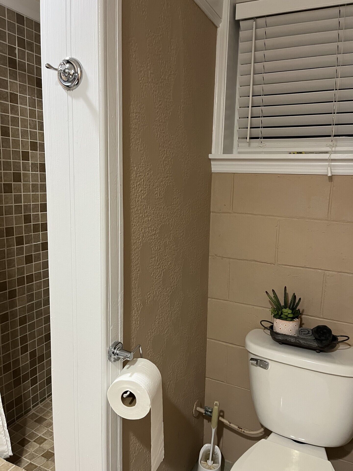 Une salle de bain avec des toilettes, un rouleau de papier toilette, une petite plante en pot et une fenêtre avec des stores.