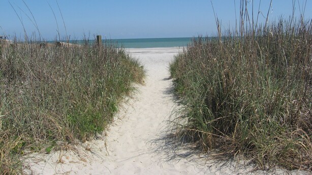 A sandy beach path leading to the ocean, flanked by tall grasses. - SEAS THE DAY: Charming Folly Beach Apartment awaits your arrival! (Folly Beach)