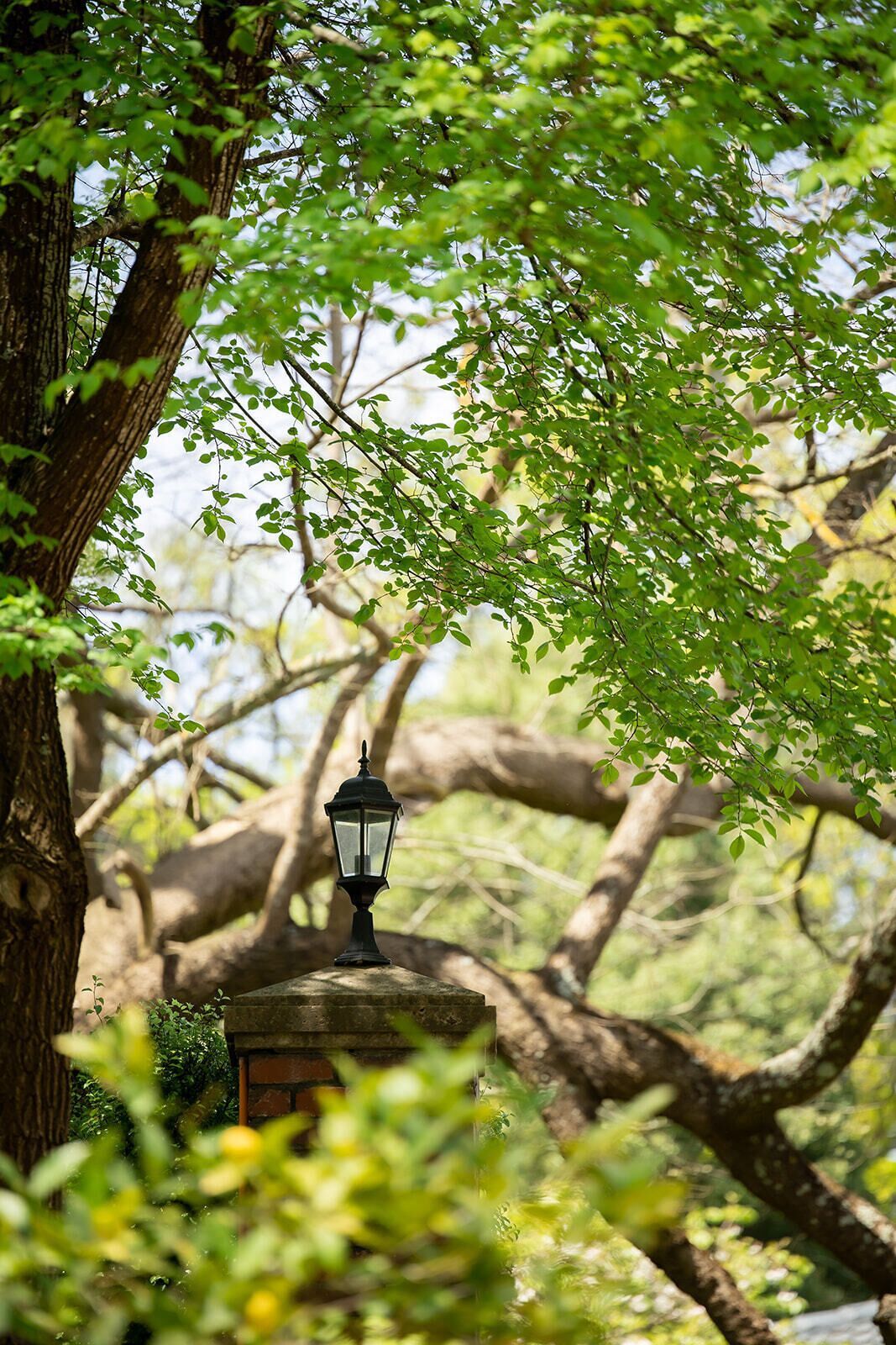 Romantic Honeymoon Getaway — image 9