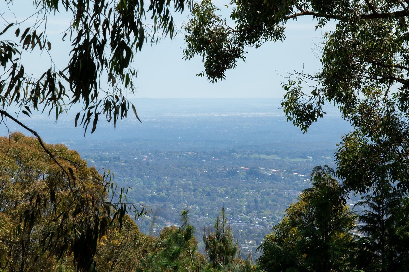 Romantic Honeymoon Getaway — image 10