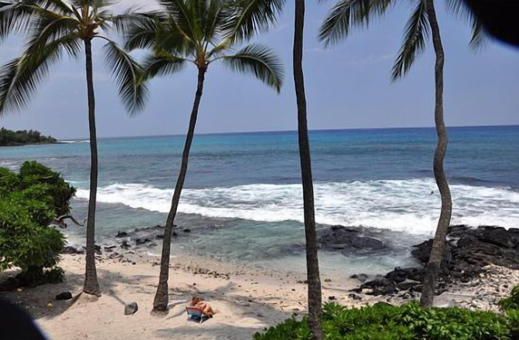 A beach with palm trees, ocean waves, and a person lying on the sand.