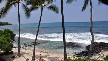 A beach with palm trees, ocean waves, and a person lying on the sand.