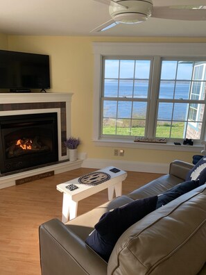 Smart TV, chimenea y libros 