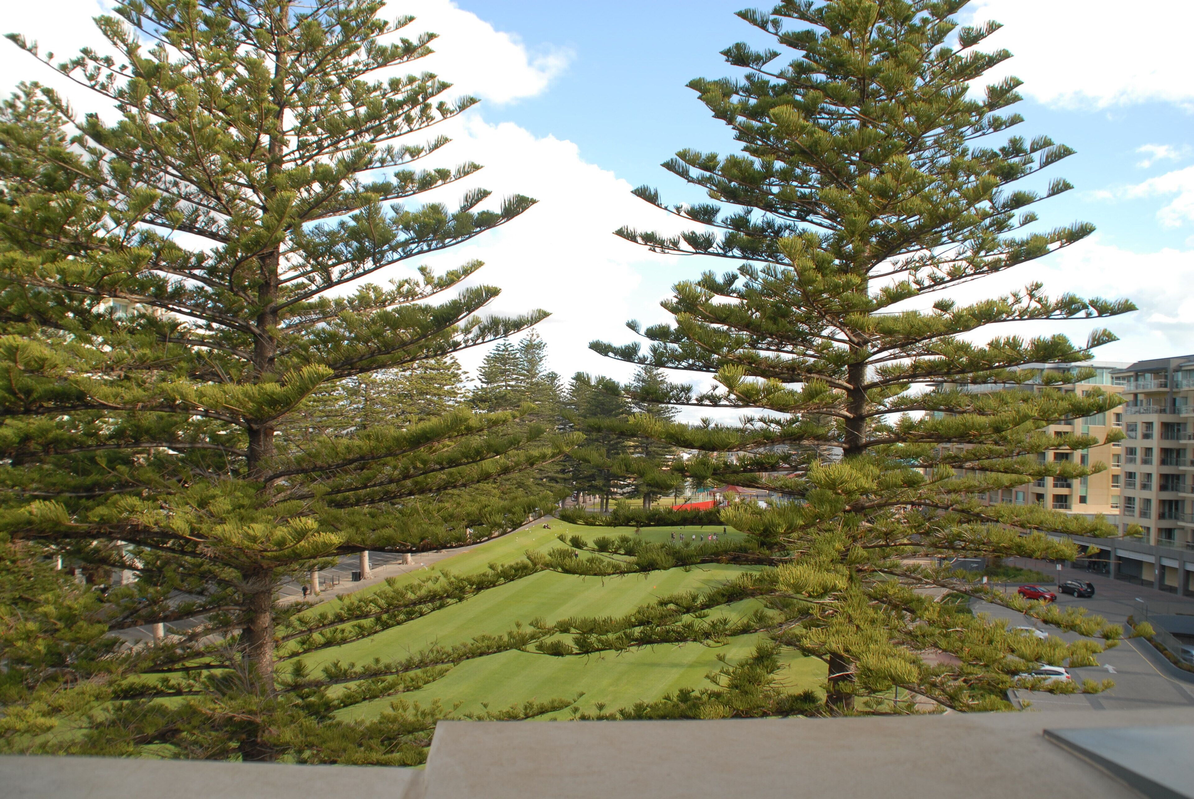 Glenelg Penthouse with BEACH & Park views -wifi parking  — image 15