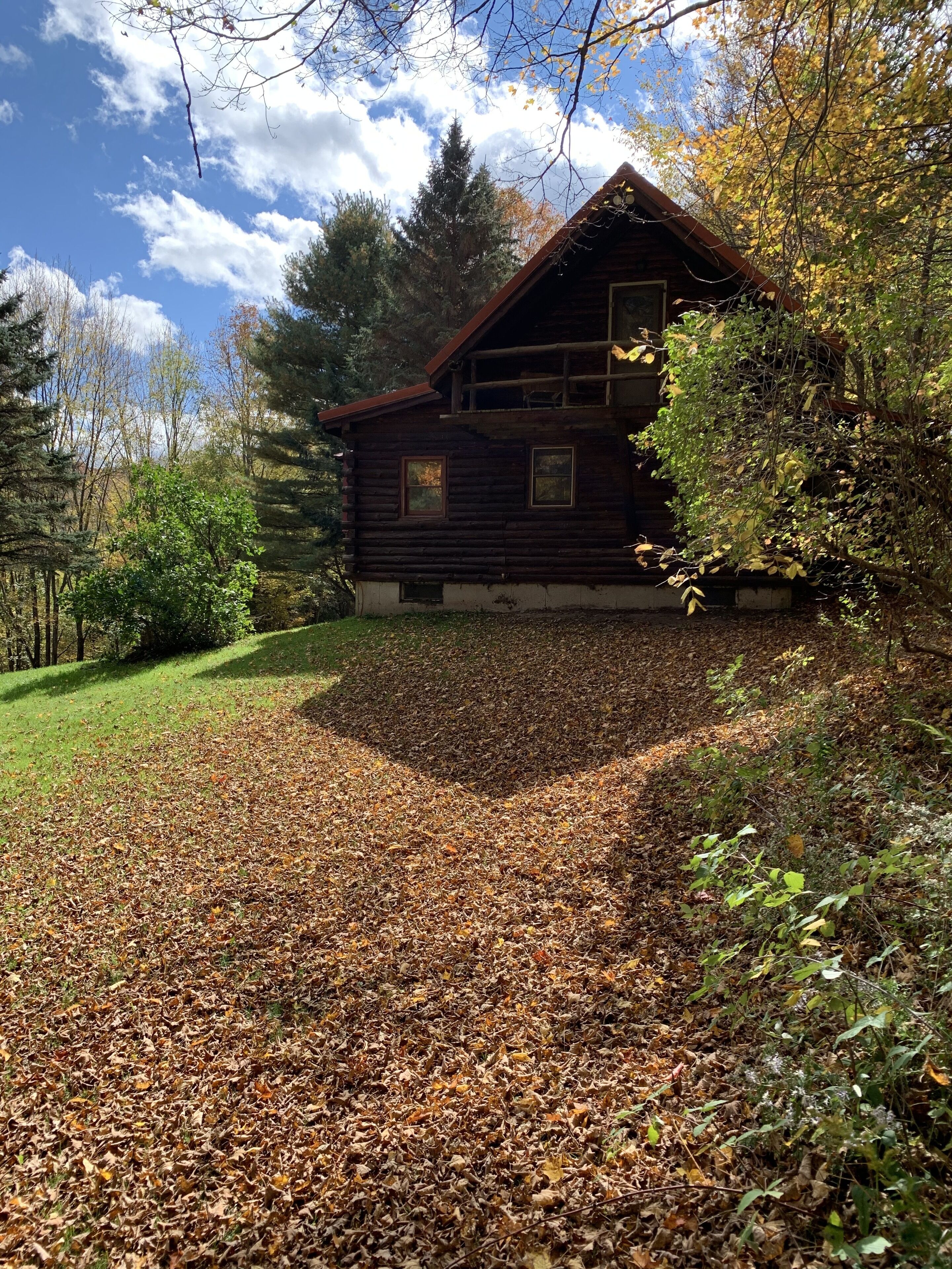 A log cabin with a sloped roof, surrounded by a forest and a grassy area with fallen leaves.