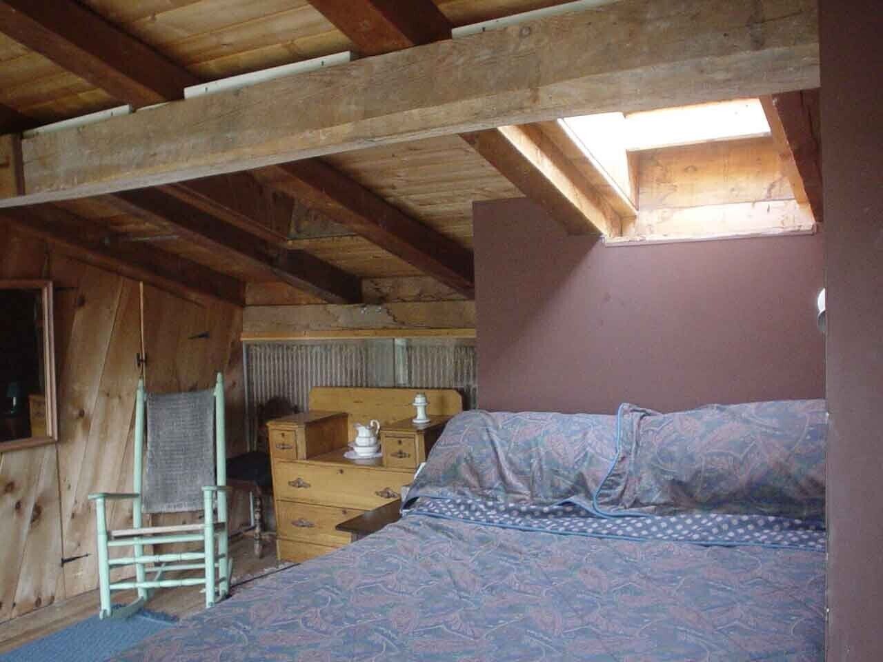 Master bedroom with skylight (upper level)