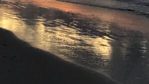 Uma praia com ondas e um pôr do sol.