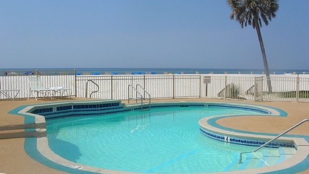 Una piscina con una palmera y vista al océano.