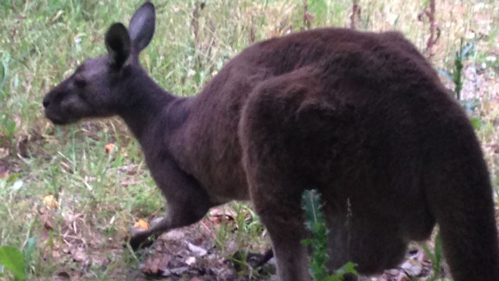 Grasstree Spa Studio at River Trails — image 16