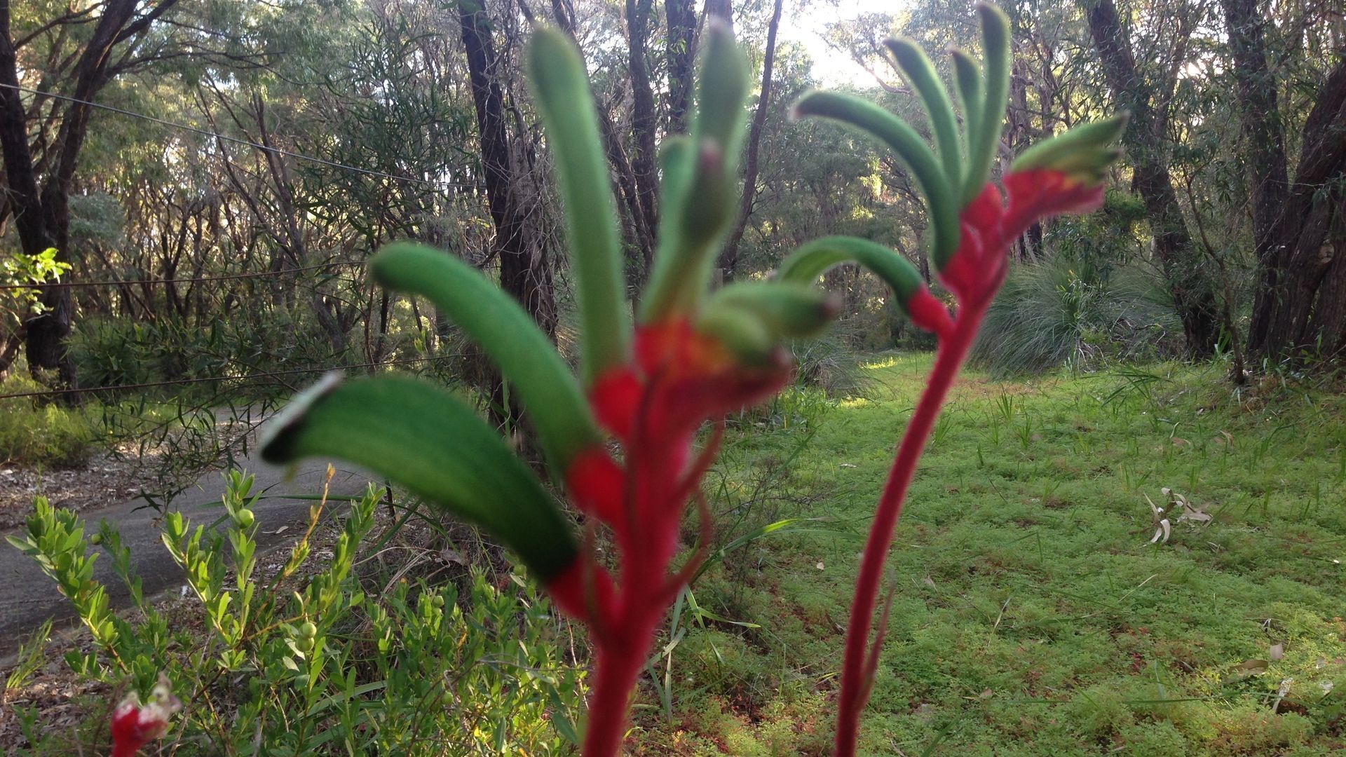 Grasstree Spa Studio at River Trails — image 18
