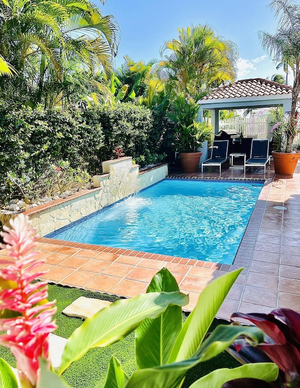 Pool - Caribbean Oasis - Spacious Beach Front Villa (Urb Villa Palmira)