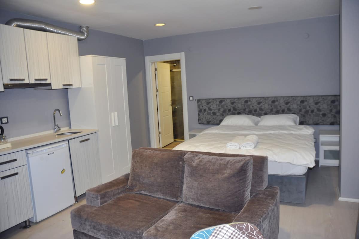 A bedroom with a bed, a bedside table, a headboard, a brown chair, a small kitchenette with a sink and a dishwasher, and a door leading to a bathroom.
