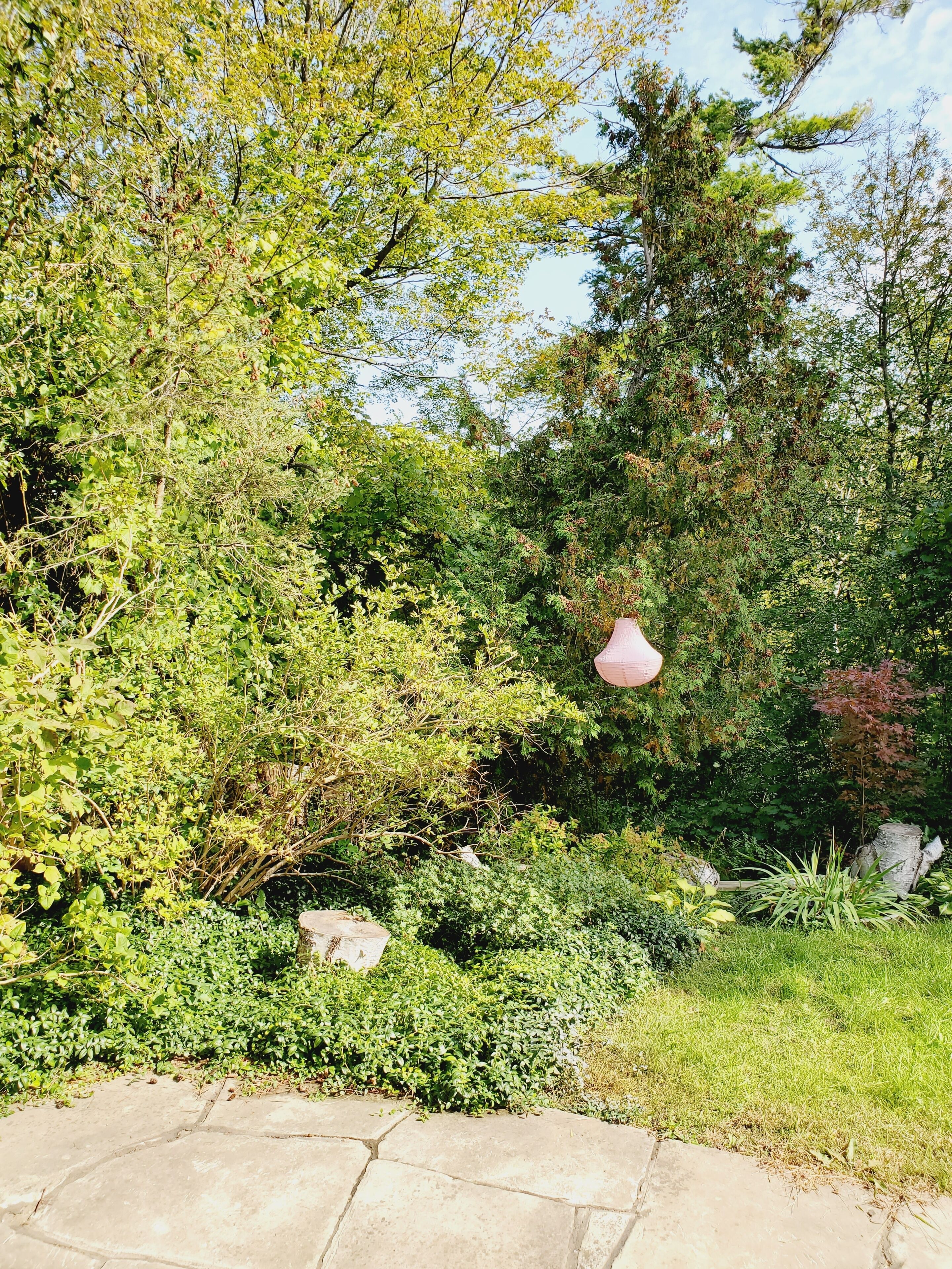 Terrain de l’hébergement 