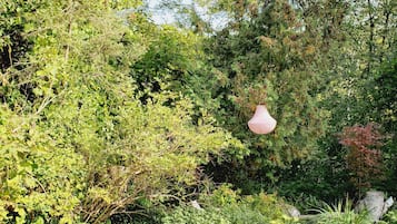 Terrain de l’hébergement