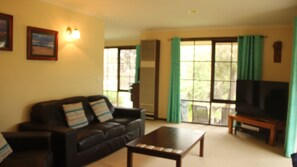 TV, DVD player, books, video library