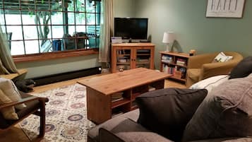 Smart TV, chimenea, reproductor de DVD y libros