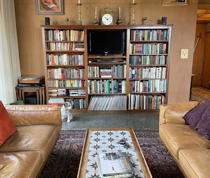 TV, fireplace, books, stereo