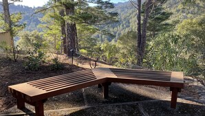 A wooden bench in a forested area with a view of a mountainous landscape. - Mid-Century Mountain Home with Breathtaking Views (Mill Valley)
